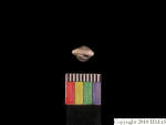 L_V23d1295 J1q27.1 Ux03 dM f16.jpg L_V23d1295 J1q27.1 Ux03 dM f16